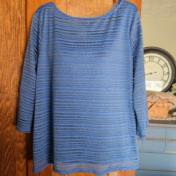 Peck & Peck M Blue Sheer Stripe Knit Top Boatneck Lightweight Fair Condition - Picture 1 of 5